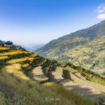 2024-10 - Népal - J04 - De Tolka à Ghandruk - 039